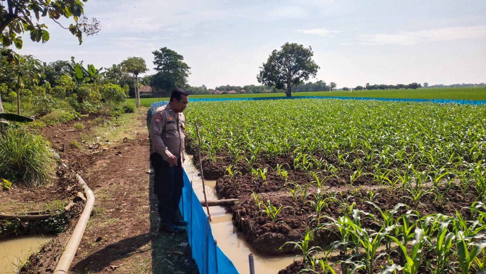 WhatsApp Image 2025-08-04 at 12.31.04