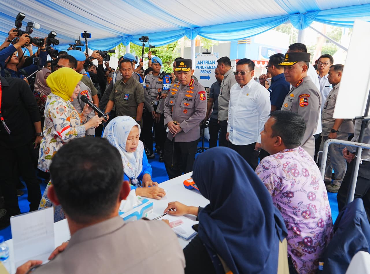 WhatsApp Image 2025-08-14 at 16.36.59