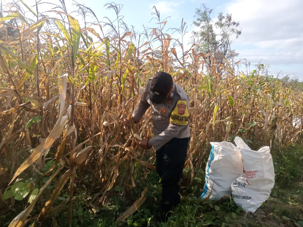 WhatsApp Image 2025-09-05 at 8.21.49 AM