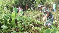 IMG-20251017-WA0006